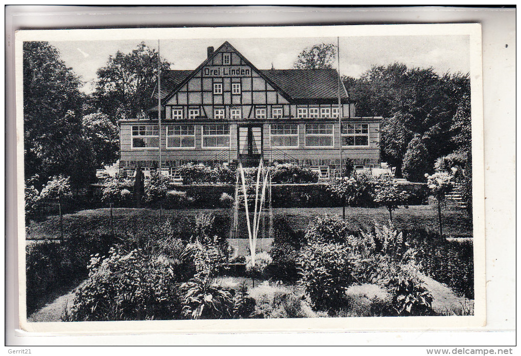 4934 HORN - BAD MEINBERG, Hotel Pension "Drei Linden", 1954 - Bad Meinberg