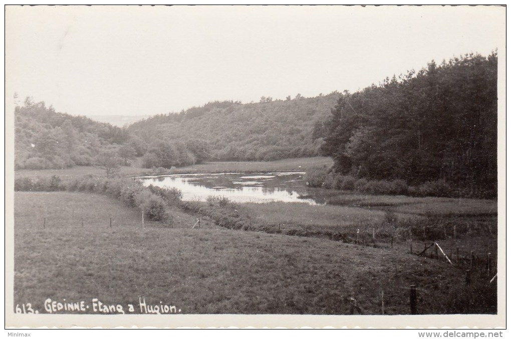 Carte Photo - Gedinne - Etang A Hugion - Gedinne