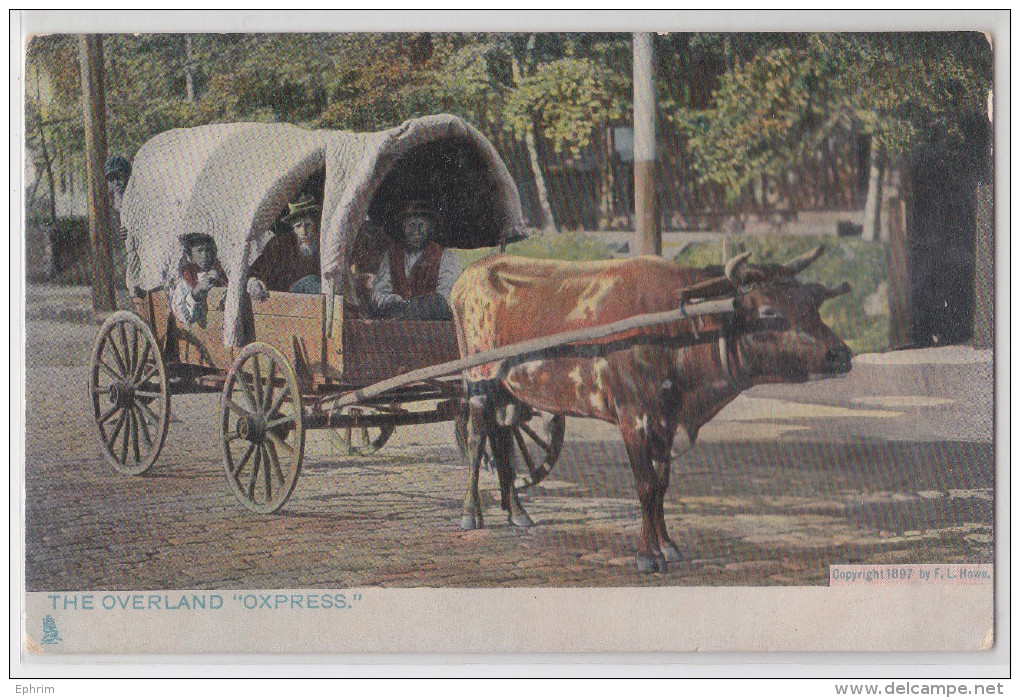 THE OVERLAND "OXPRESS" - Copyright 1897 F.L. Howe - Attelage De Boeuf - Tuck's Postcard "Way Down South" - American Roadside