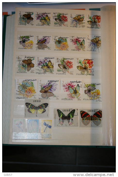 Lot De 24 Timbres Superbe état Thèmes "Papillon", Shqipeia, Liberia, Fujeira - Papillons