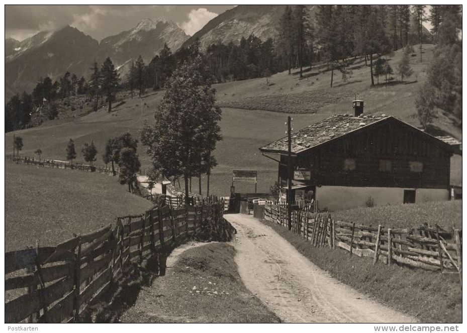 ALTE POSTKARTE AUF DEM WEGE NACH MÖSERN TIROL BLICK AUF DIE MIEMINGER BERGE Telfs Bauernhaus Haus Postcard Ansichtskarte - Telfs