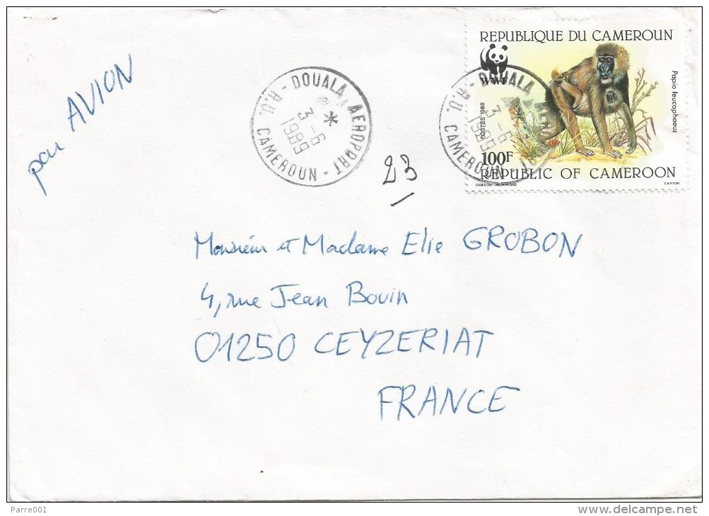 Cameroun Cameroon 1989 Douala Aeroport Drill Papio Monkey Ape WWF Cover - Lettres & Documents