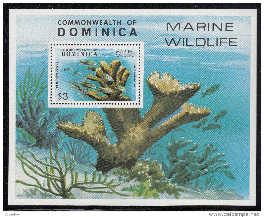 Dominica MNH Scott #624 Souvenir Sheet $3 Elkhorn Coral - Dominique (1978-...)