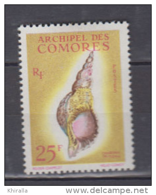 COMORES    1962            N°   24       COTE      16 € 00           ( 865 ) - Unused Stamps