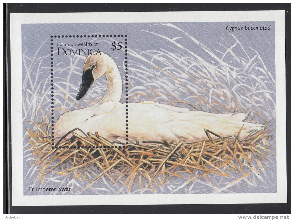 Dominica MNH Scott #1774 Souvenir Sheet $5 Trumpeter Swan - Dominica (1978-...)