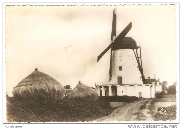 GAVERE   --  Le Vieux Moulin  --  Oud Windmolen - Gavere