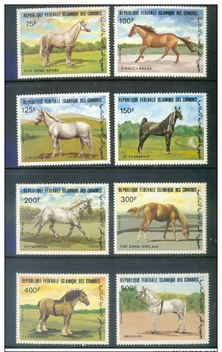 COMORES * SERIE 8v YEAR 1983 * HORSES * LIPIZZAN * APPALOOSA * ANDALOU * MNH - Comoren (1975-...)