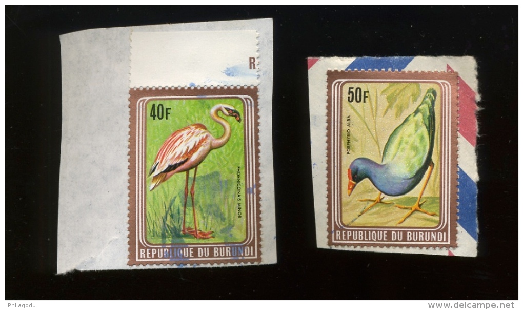 2 Oiseaux Cadre Cuivre   Kader Koper Vogels    Ø Sur Fragment   Afzonderlijk - Used Stamps