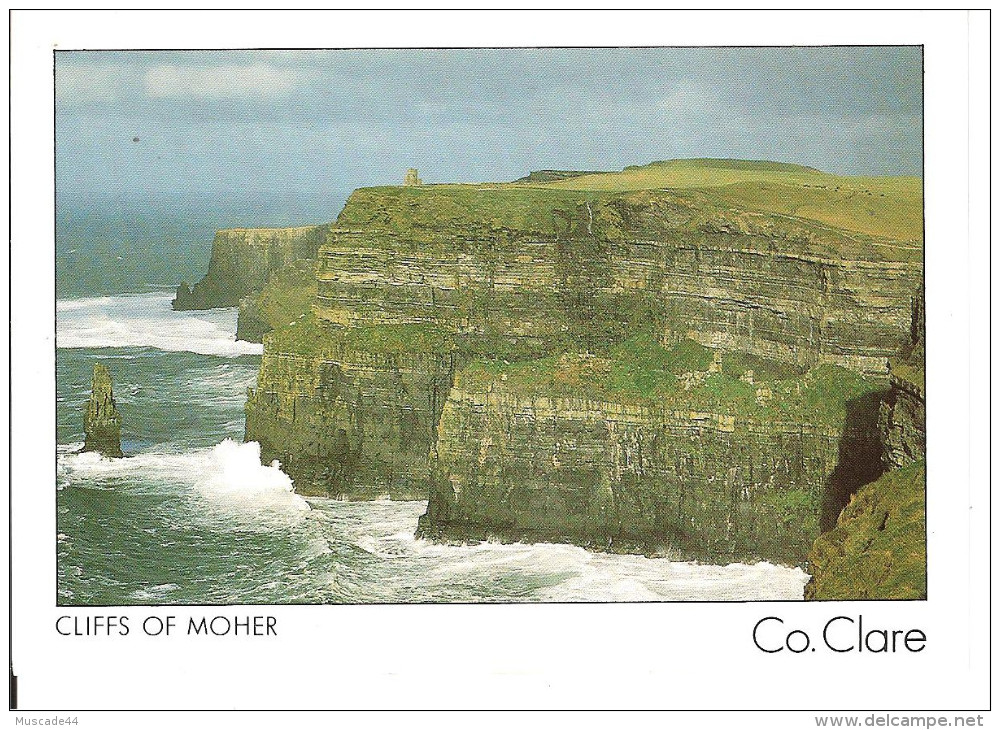 CLIFFS OF MOHER - CO CLARE - Clare