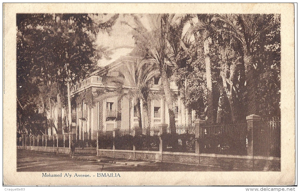 ISMAILIA  MOHAMED ALY AVENUE   CARTE ANIMEE - Ismaïlia