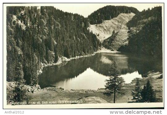 Taubensee Bei Ruhpolding Chiemgau 20.8.1936 Nach Görlitz - Ruhpolding