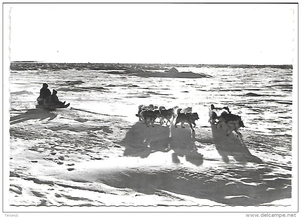 CPSM Indien D'amérique. Missionnaire En Voyage Sur Sa Traîne à Chiens (traineau Attelage) - Amerika