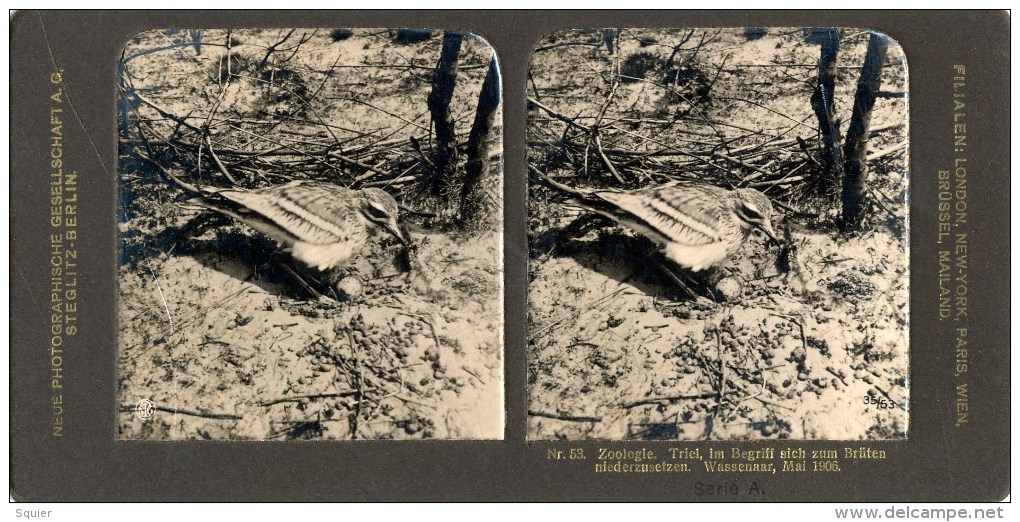 Steglitz, Wassenaar, Triel, No. 53 - Stereoscopes - Side-by-side Viewers