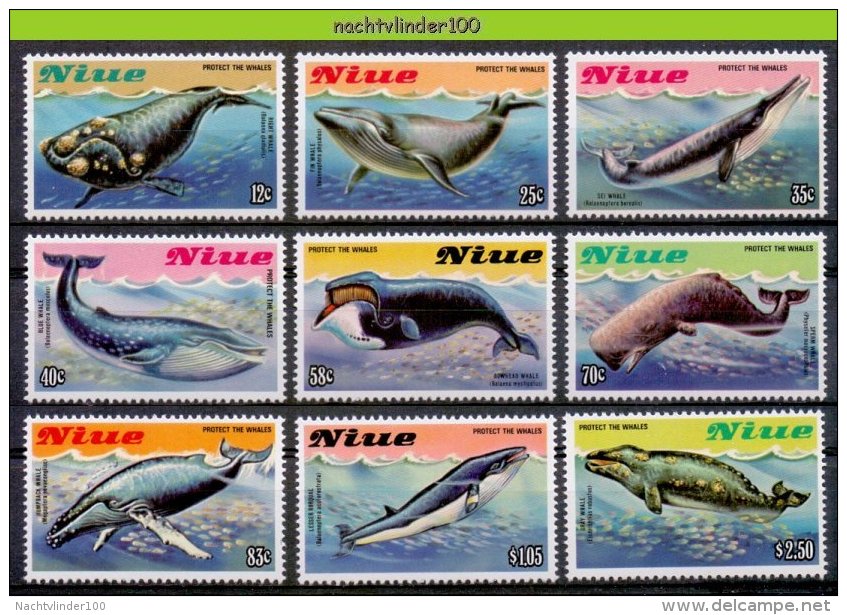 Mhl073 FAUNA ZEEZOOGDIEREN WALVIS WHALE SEA MAMMALS BALEINES MARINE LIFE NIUE 1983 PF/MNH # - Ballenas