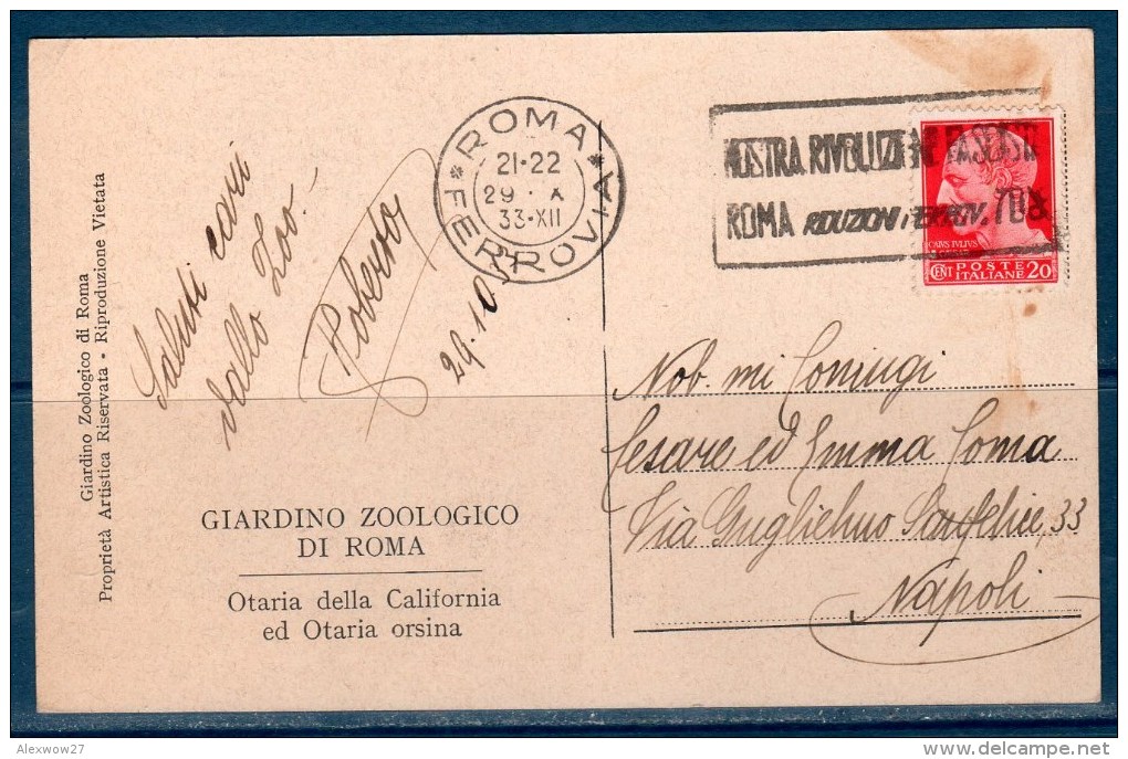 Roma (Giardino Zoologico) Cartolina Viaggiata 1933 - Parcs & Jardins