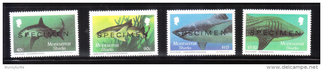 Montserrat 1987 Sharks Specimen 4v MNH - Montserrat