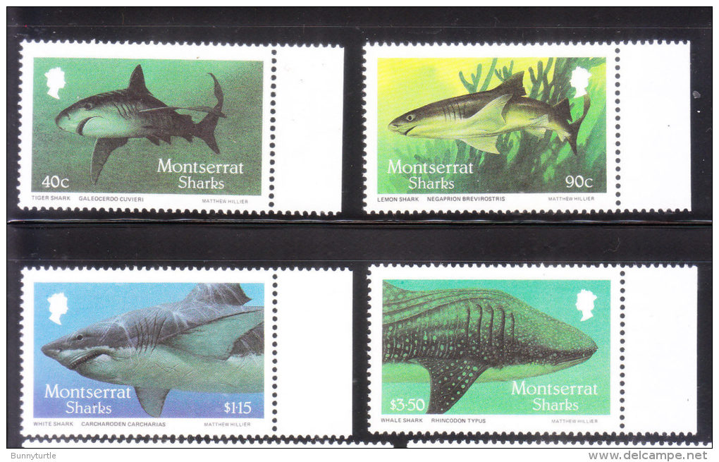 Montserrat 1987 Sharks Tiger White Whale Lemon Shark MNH - Montserrat