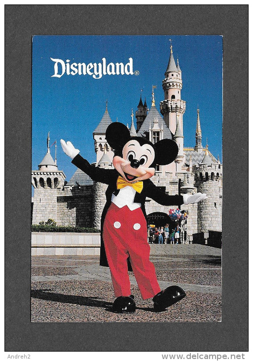 FLORIDA - FLORIDE - ORLANDO - DISNEY WORLD - DISNEYLAND - MICKEY MOUSE - Orlando