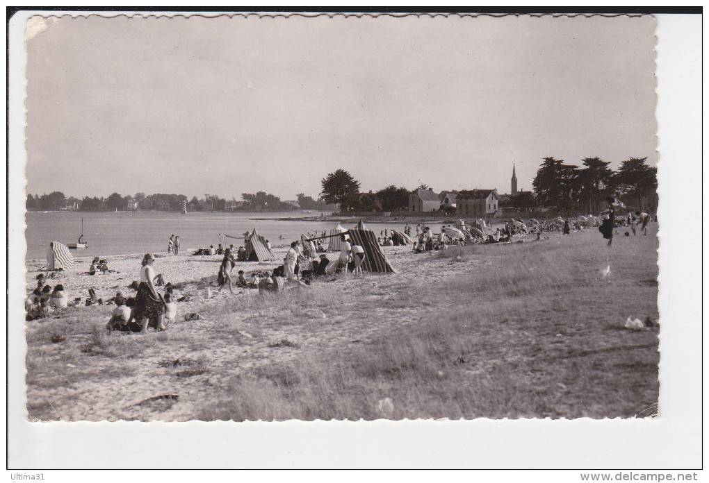 CPSM ILE TUDY FINISTERE LA PLAGE PETITE ANIMATION - Ile Tudy