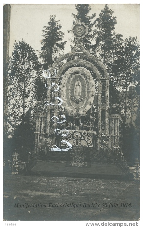 Bertrix - Manifestation Eucharistique Du 28 Juin 1914 - Carte Photo ( Voir Verso ) -11 - Bertrix