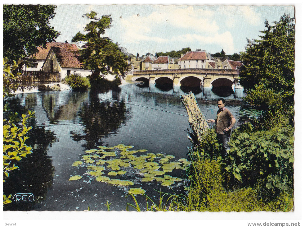 LA TRIMOUILLE. - Pêcheur Au Bord De La Benaize. CPM Dentelée - La Trimouille