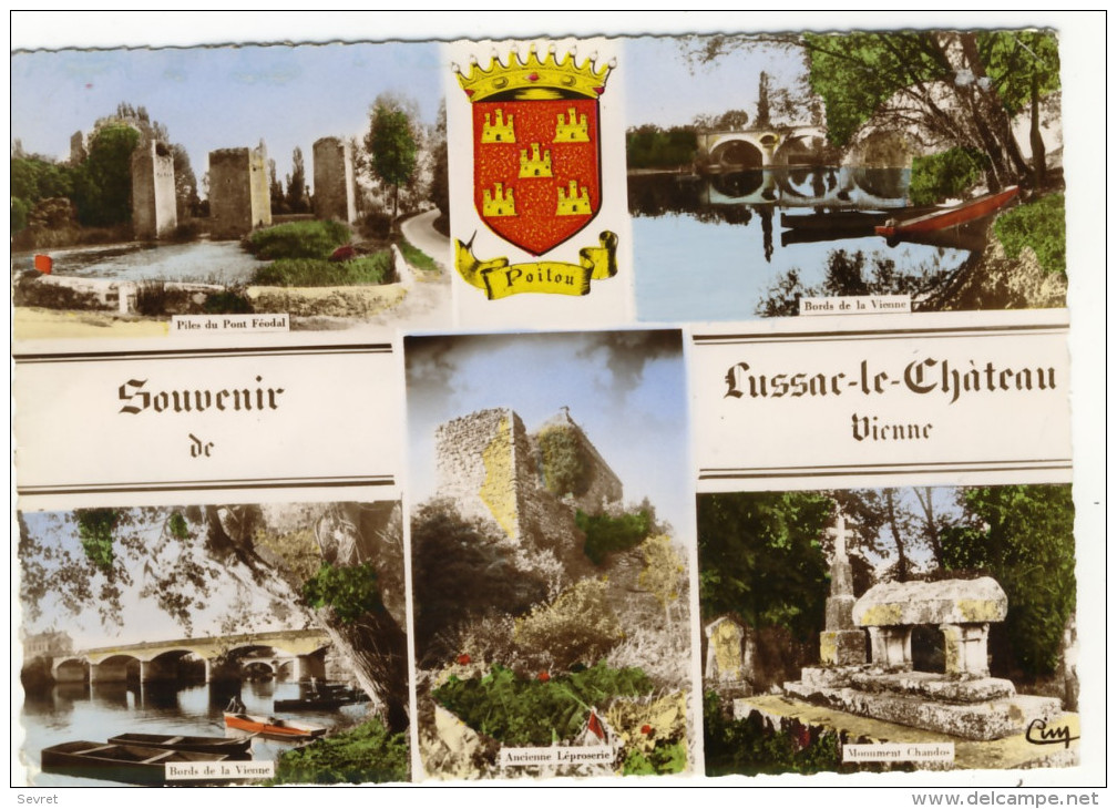 LUSSAC LES CHATEAUX. - Multivues- Souvenir . CPM Dentelée Rare - Lussac Les Chateaux