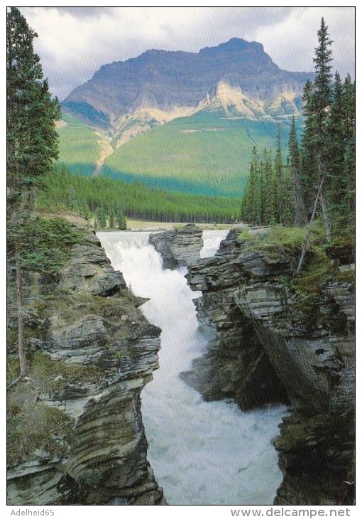 013R/  Canadian Rockies Athabaska Falls - Jasper