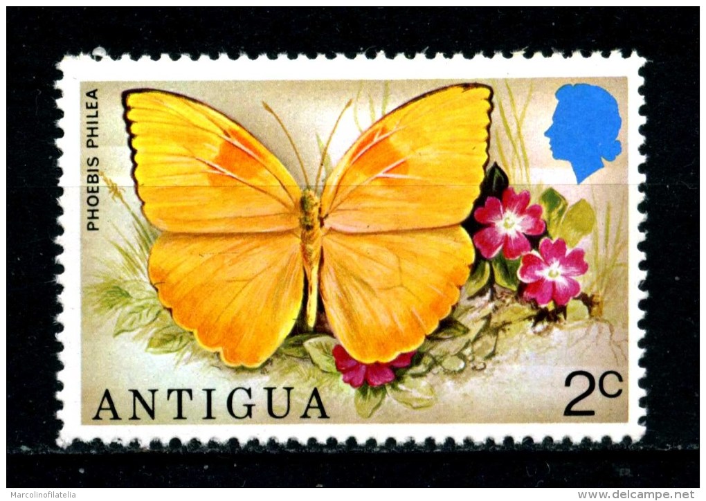 ANTIGUA - Farfalle - Butterfly -  Nuovo - News -MNH **. - Farfalle