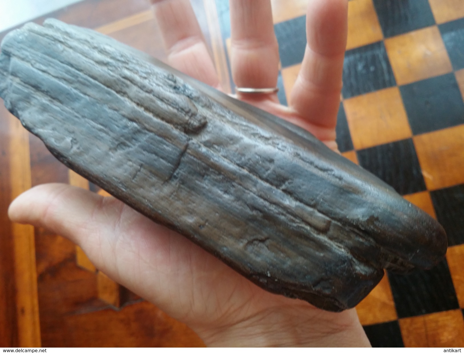 CURIOSA - Gros Bloc D'écorce De Conifère Fossile - Fossils