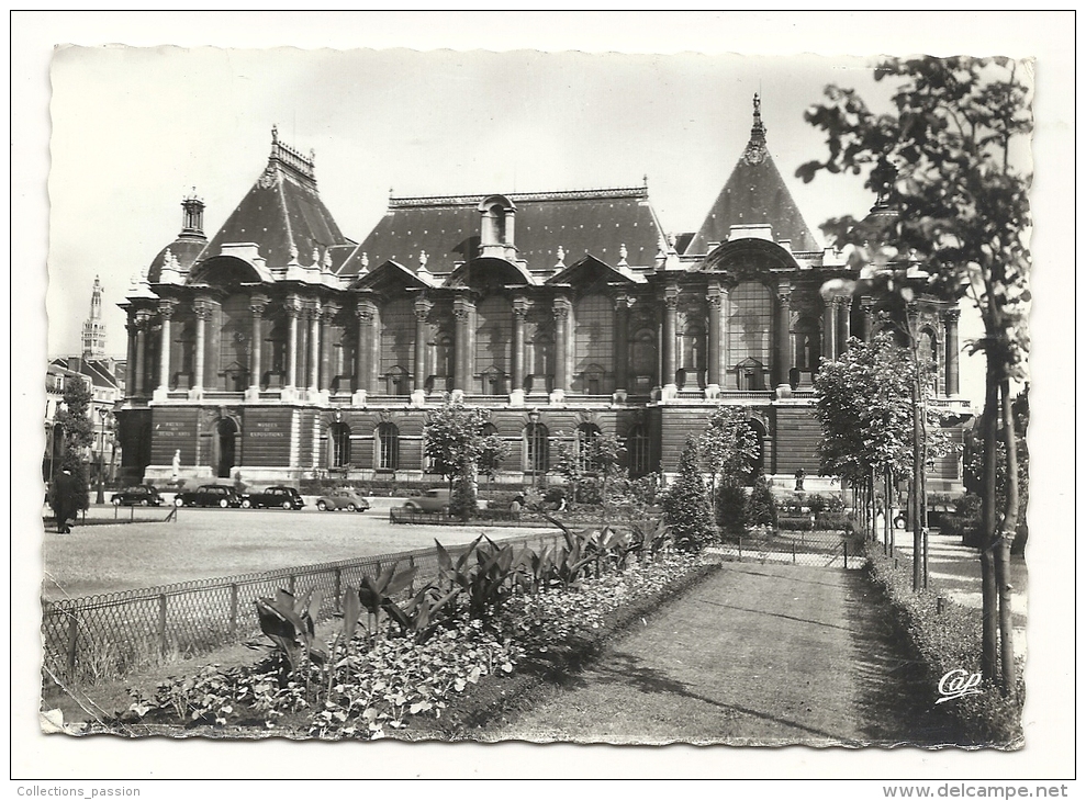 Cp, 59, Lille, Le Musée Des Beaux Arts, Voyagée 1966 - Lille