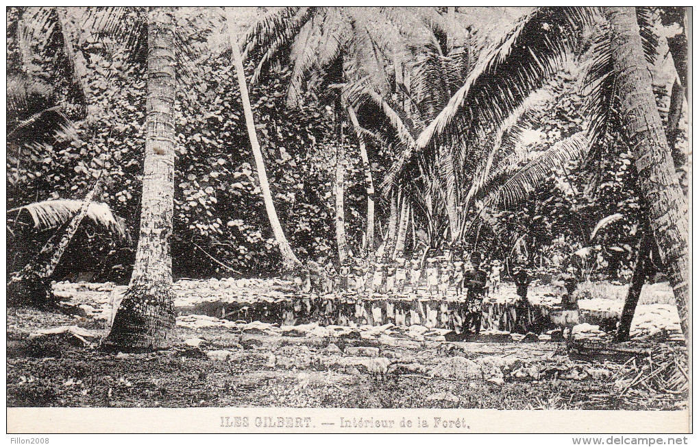 République De KIRIBATI - Iles GILBERT - L´intérieur De La Forêt Tropicale - Kiribati