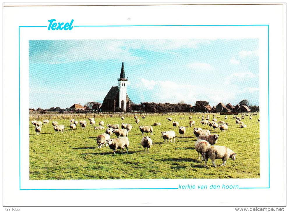 Texel: Kerkje Van Den Hoorn   - Holland/Nederland - Texel