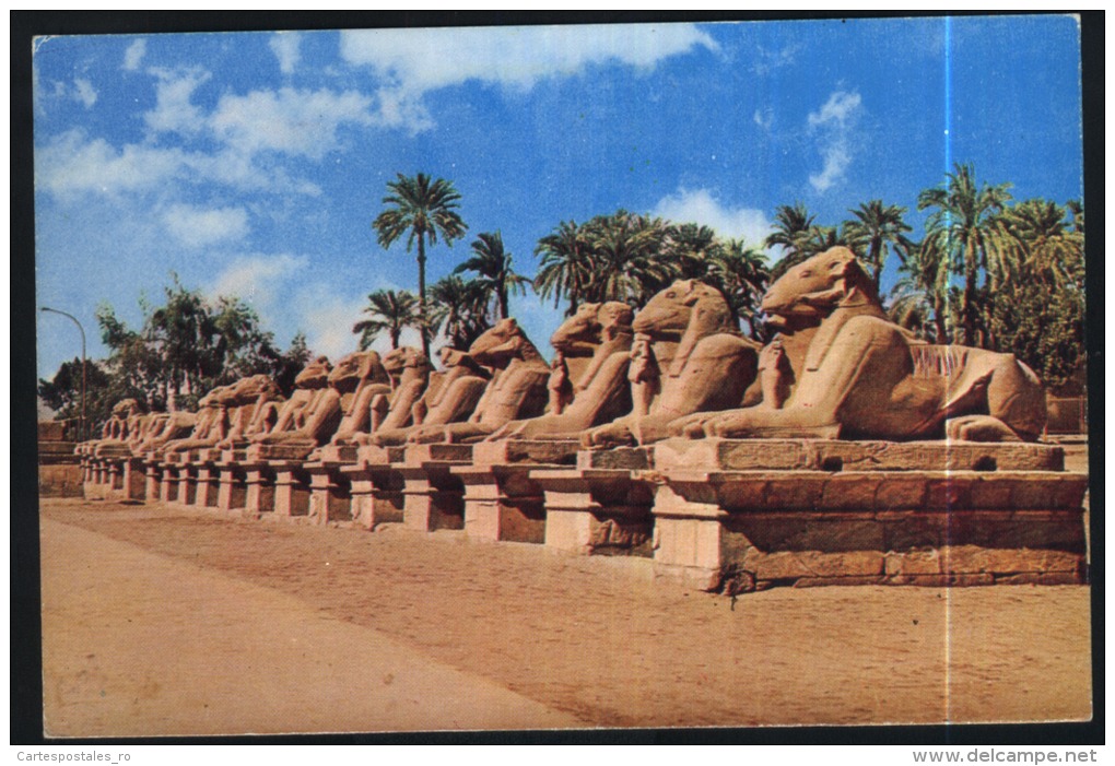 Luxor-karnak-the Sphinx Avenue-used,perfect Shape - Luxor