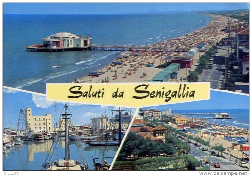 Salui Da Senigallia - 30 - Formato Grande Viaggiata Mancante Di Affrancatura - Senigallia