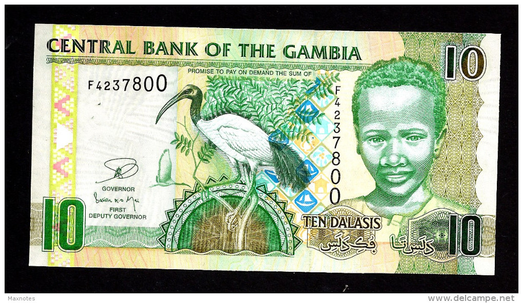 GAMBIA : 10 Delasis  - 2013 - UNC - Gambie