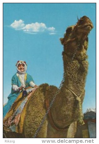 Saudi Arabia.  -  A Ride On The Camel.  Sent To Germany.  # 01712 - Saudi-Arabien