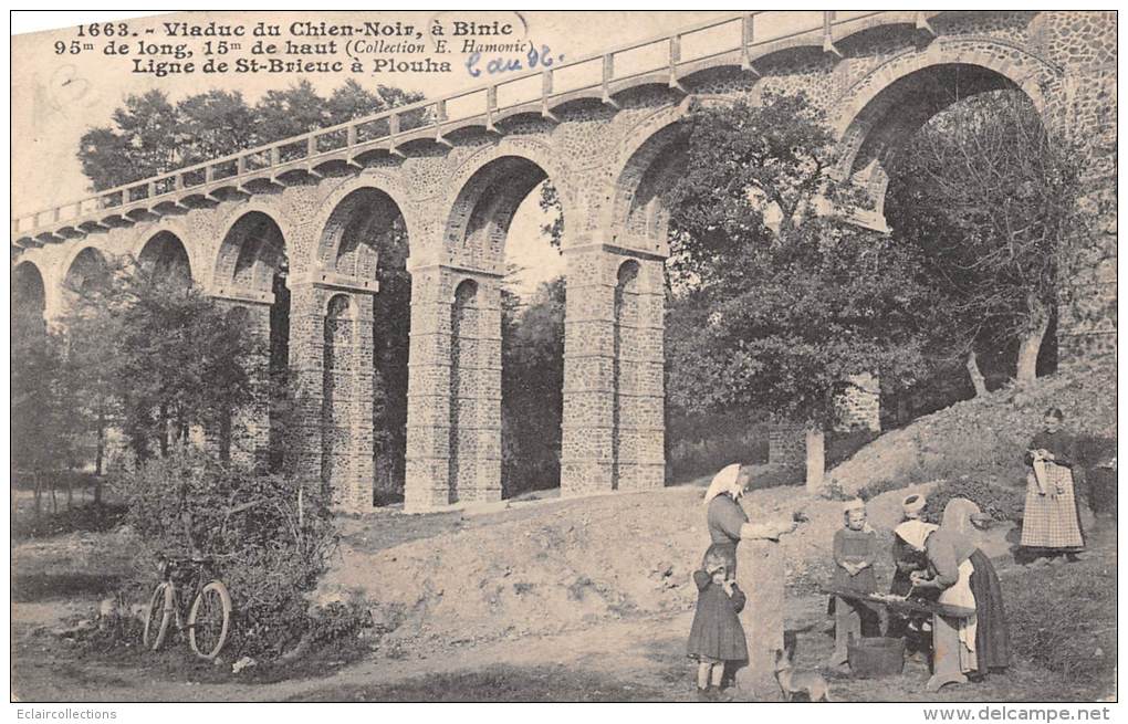 Binic    22    Chemin De Fer   Viaduc Du Chien Noir  Ligne De St Brieuc  Plouha( Marchande Et Femme Tricotant) - Binic