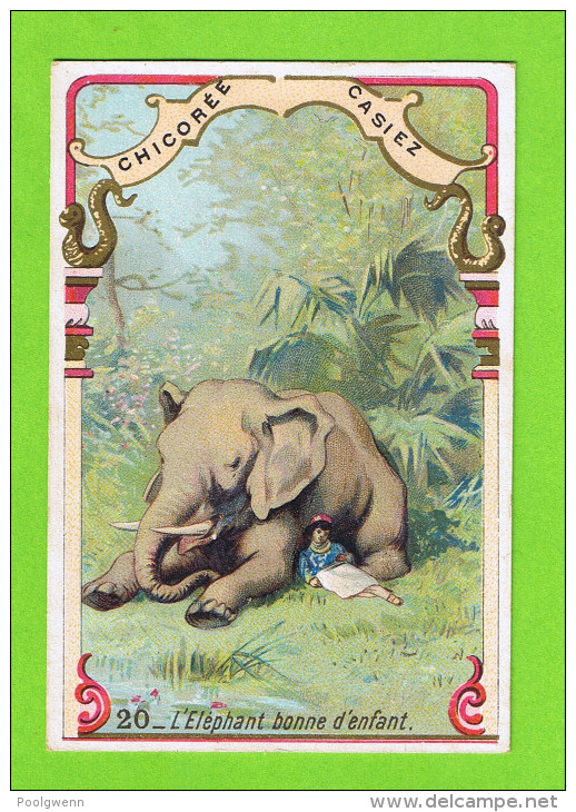 CHICOREE CASIEZ - CAMBRAI - L´ELEPHANT BONNE D'ENFANT - Thé & Café