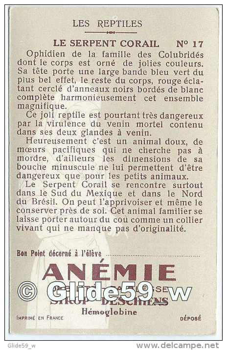 Chromo - Les Réptiles - Serpent Corail - Bon Point - Anémie - Sirop Deschiens - N° 17 - Autres & Non Classés