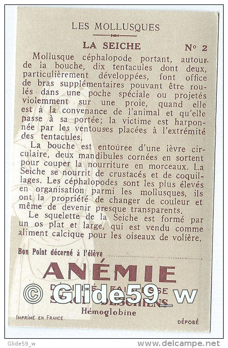 Chromo - Les Mollusques - Seiche - Bon Point - Anémie - Sirop Deschiens - N° 2 - Andere & Zonder Classificatie