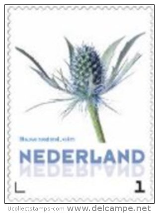 Nederland  2014   Bloem  Blauwe Distel        Postfris/mnh/sans Charniere - Personalisierte Briefmarken