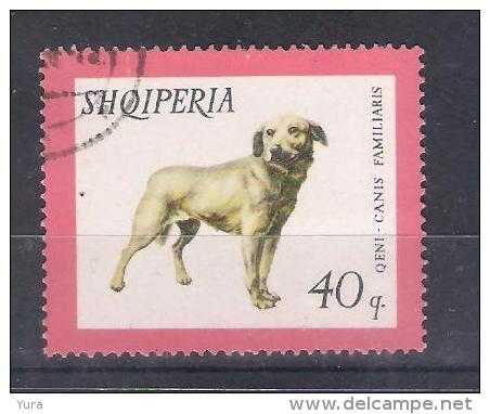 Albania 1966 Mi Nr 1032 (a1p18) - Perros