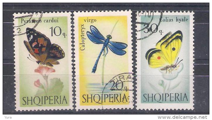 Albania 1966 Mi Nr 1048/50 With Gum.  Butterflies  (a1p4) - Albanie