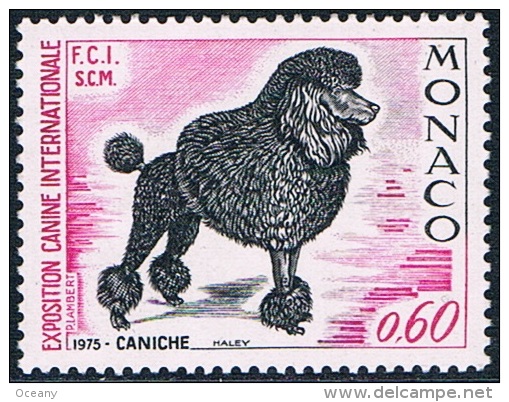 Monaco - Exposition Canine Internationale, Caniche 1037 ** - Dogs