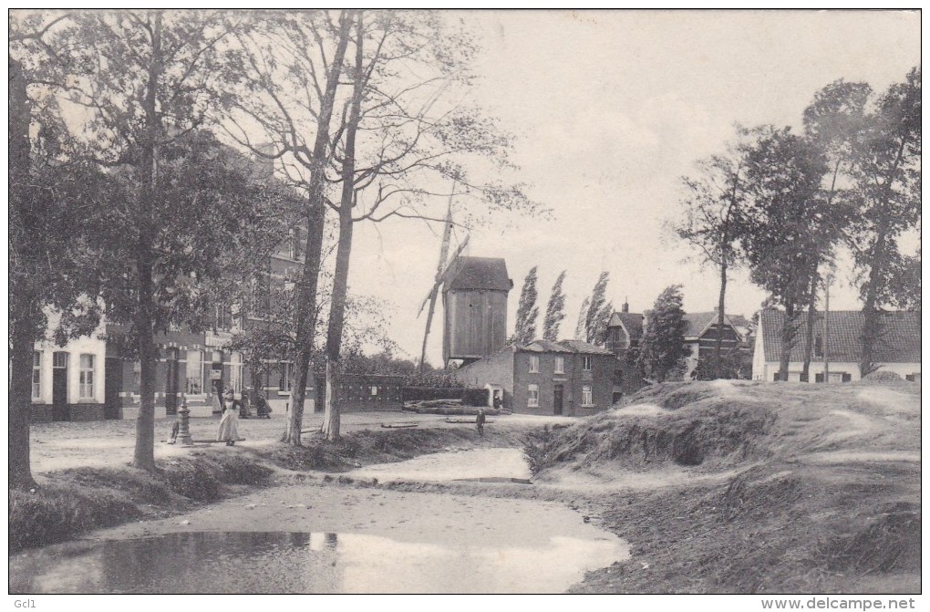 Scherpenheuvel - Molen - Scherpenheuvel-Zichem