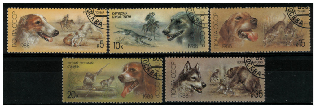 *A12* -  Russia &URSS 1988 -  Cani E Scene Di Caccia - 5 Val. Oblit. - Perfetti - Used Stamps