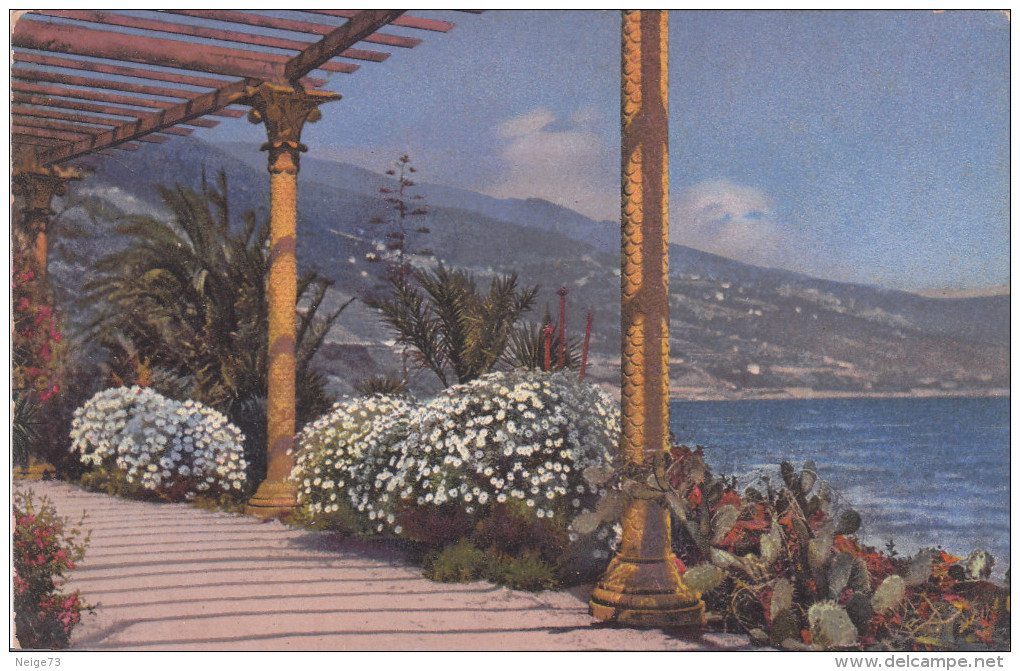 Carte Postale Ancienne D'Italie - Bordighera - Riviera Di Ponente - Autres & Non Classés