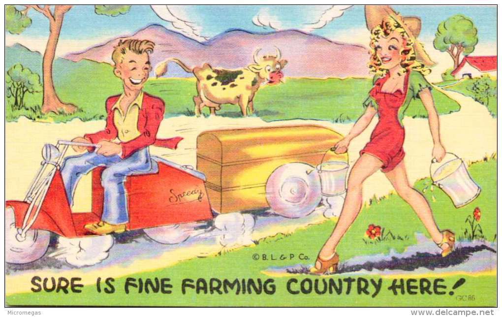 Sure Is Fine Farming Country Here ! - Humour