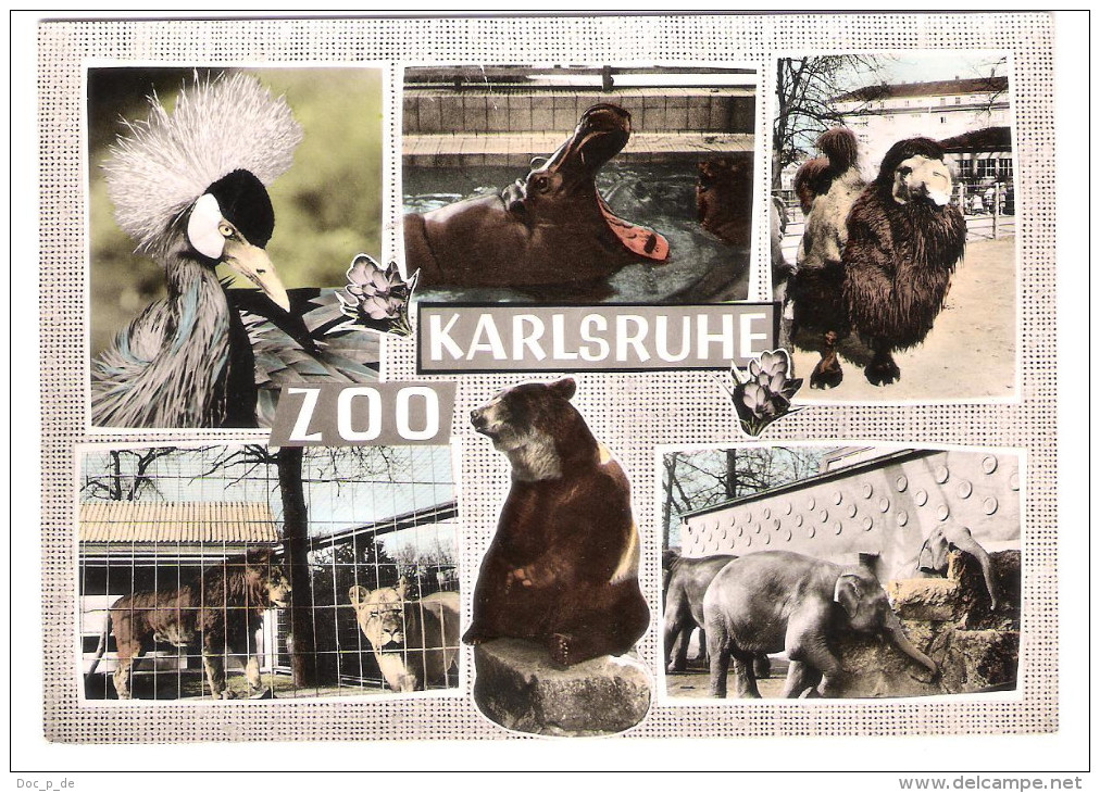 Deutschland - Karlsruhe - Zoo - Tierpark - Animals - Karlsruhe