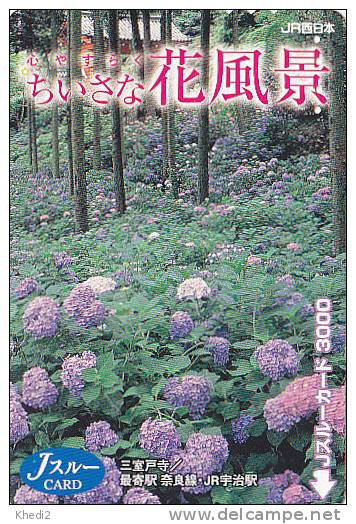 Carte Prépayée Japon - FLEUR Fleurs - HORTENSIA - FLOWER  Japan Prepaid JR J Card - Blume Karte  - 573 - Fleurs